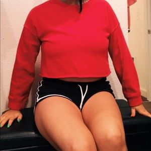 Fashion nova cropped sweater